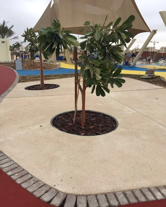 WhatsApp-Image-2024-10-04-at-11.25.32-AM-2